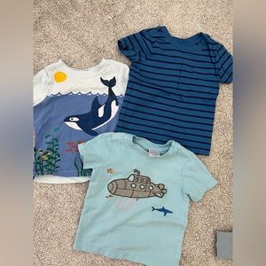 Hanna Andersson 18-24 month T-shirts